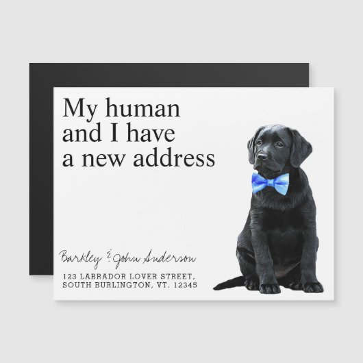 Black Lab New Address Dog Moving Announcement Kaar (Voorkant / Achterkant)