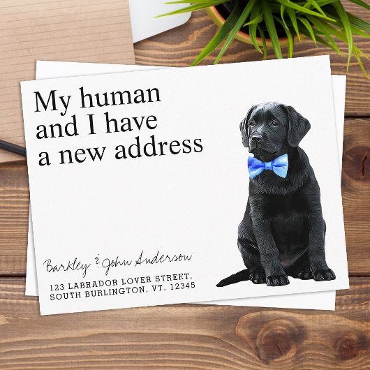 Black Lab New Address Dog Moving Announcement Post Briefkaart
