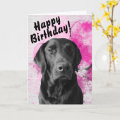 Black Lab  Pawsome Birthday Kaart roze (Gele Bloem)