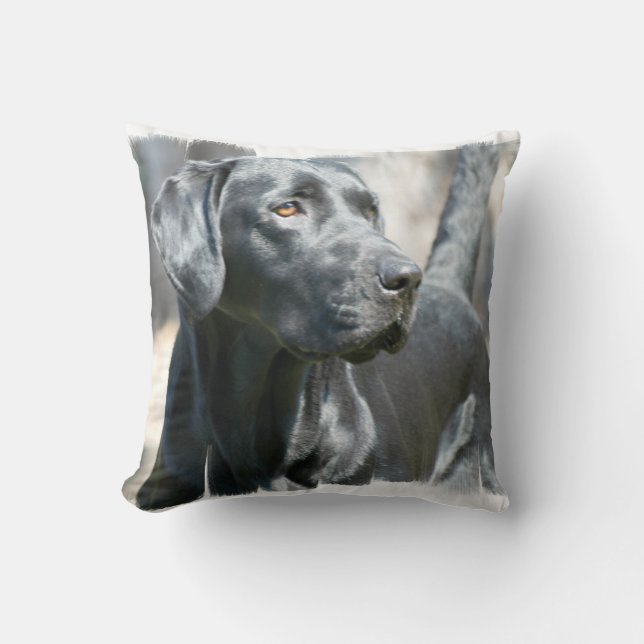 Black Lab Pillow Kussen (Voorkant)