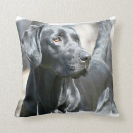 Black Lab Pillow Kussen