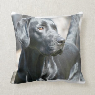 Black Lab Pillow Kussen