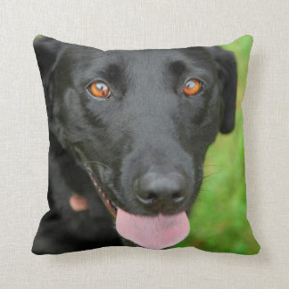 Black Lab Pillow Kussen