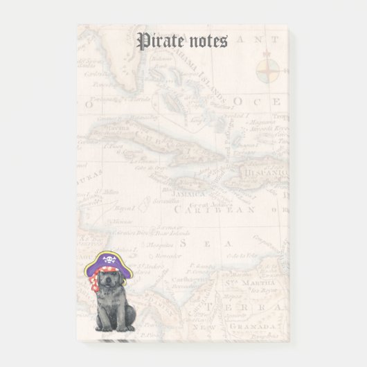Black Lab Pirate Post-it® Notes (Voorkant)