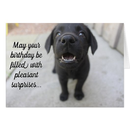 Black Lab "Pleasant Surprises" (Verjaardagskaart) (Voorkant Horizontaal)