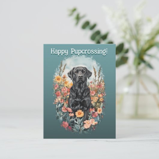 Black Lab Postcrossing - Briefkaart (Staand voorkant)