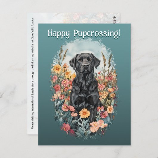 Black Lab Postcrossing - Briefkaart (Voorkant / Achterkant)