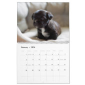 Black Lab Puppies Calendar Puppy Dog Labrador Kalender (Feb 2026)