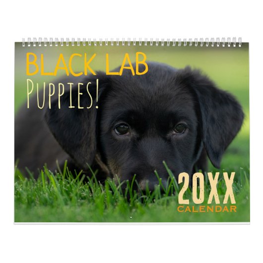 Black Lab Puppies Calendar Puppy Dog Labrador Kalender (Hoes)