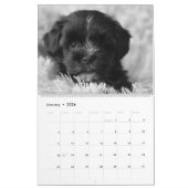Black Lab Puppies Calendar Puppy Dog Labrador Kalender (Jan 2026)
