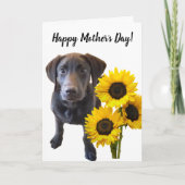 Black Lab Puppy and Sunflower Pun Kaart (Voorkant)