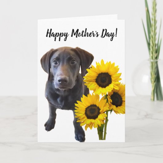 Black Lab Puppy and Sunflower Pun Kaart (Voorkant)