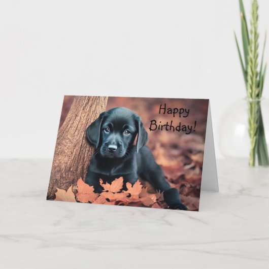Black Lab Puppy Birthday Kaart (Voorkant)
