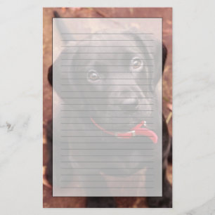 Black Lab Puppy Briefpapier