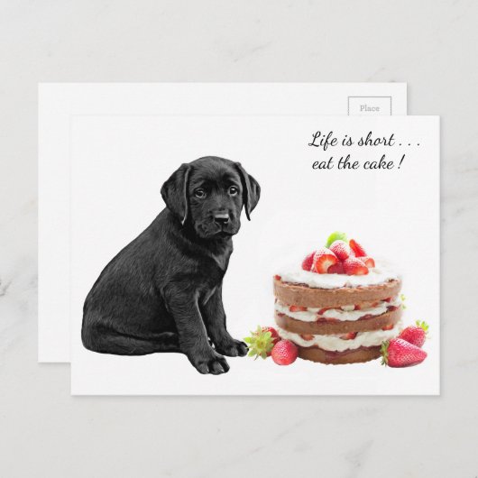 Black Lab Puppy - Dog Birthday - Labrador Dog Cake Briefkaart (Voorkant / Achterkant)