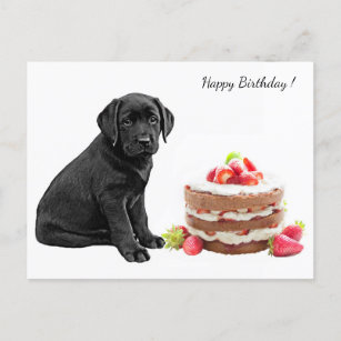 Black Lab Puppy - Dog Happy Birthday - Labrador Briefkaart