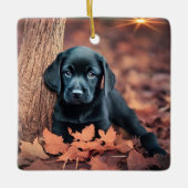 Black Lab Puppy Keramisch Ornament (Voorkant)