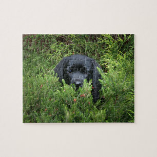 Black Lab Puppy Legpuzzel