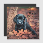 Black Lab Puppy Magnetic Birthday Kaart (Voorkant / Achterkant)
