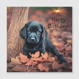 Black Lab Puppy Magnetic Birthday Kaart