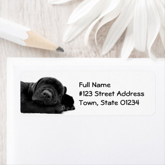 Black Lab Puppy Mailing Label (Insitu)