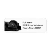 Black Lab Puppy Mailing Label (Voorkant)