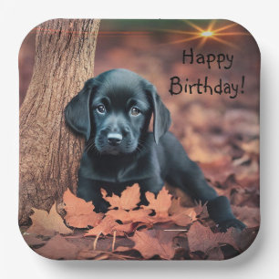 Black Lab Puppy Papieren Bordje