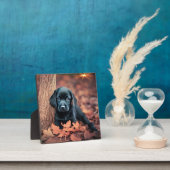 Black Lab Puppy Plaque Fotoplaat (Insitu)