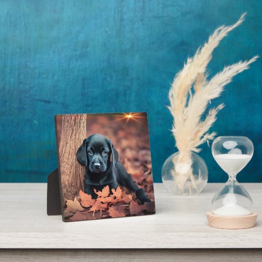 Black Lab Puppy Plaque Fotoplaat (Insitu)