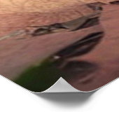 Black Lab Puppy Poster (Hoek)