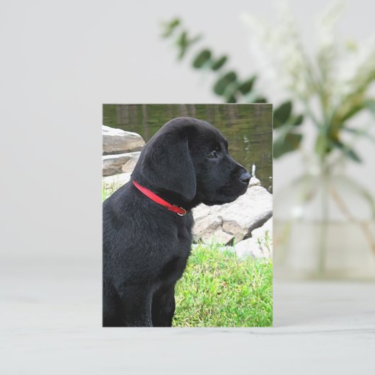 Black Lab Puppy Schattigee hond - Labrador Retriev Briefkaart (Staand voorkant)