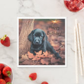 Black Lab Puppy Servet (Insitu)