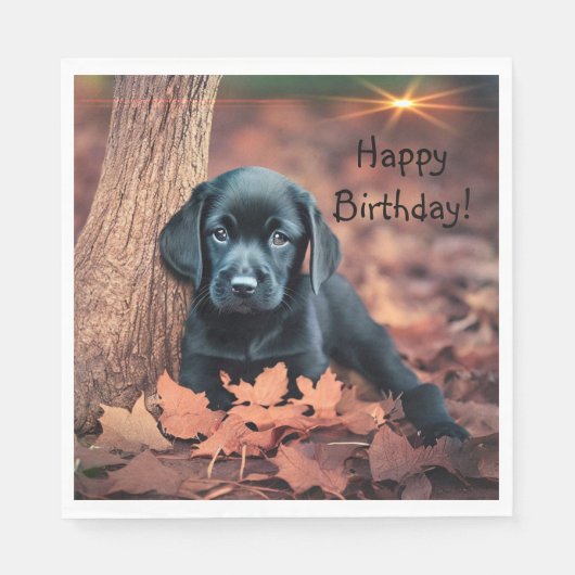 Black Lab Puppy Servet (Voorkant)