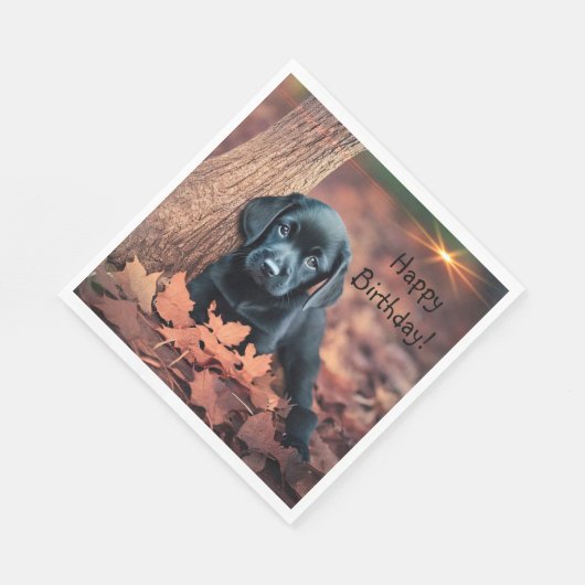 Black Lab Puppy Servet (Hoek)