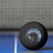 Black Lab Puppy Sterrennacht Pingpongbal (Net)