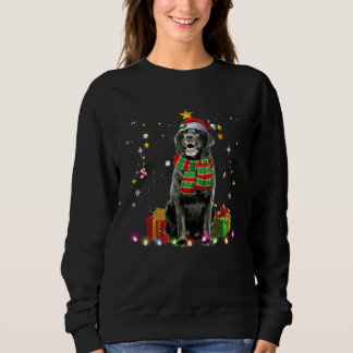 Black Lab Santa Christmas Tree Lights  Xmas Pjs Bo Trui