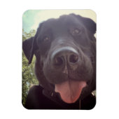 Black Lab Selfie Dog Foto Magneet (Verticaal)