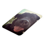 Black Lab Selfie Dog Foto Magneet (Linkerzijde)