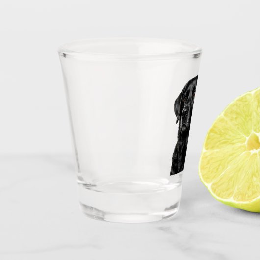 Black Lab Shot Glass Glas (Links)
