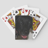Black Lab-speelkaarten Pokerkaarten (Achterkant)