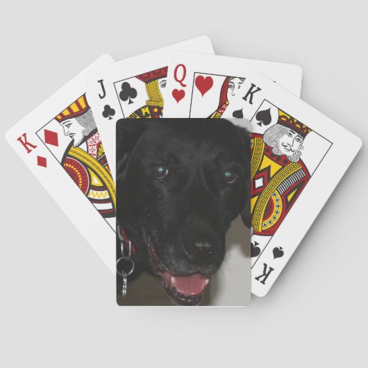 Black Lab-speelkaarten Pokerkaarten (Achterkant)