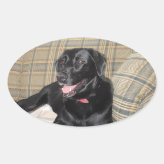 Black Lab-Sticker Ovale Sticker