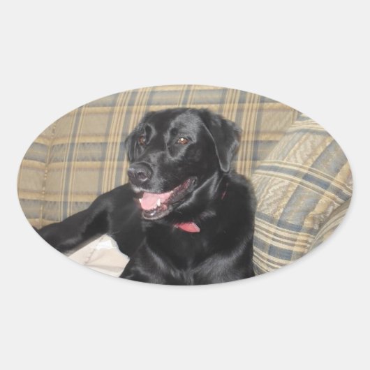 Black Lab-Sticker Ovale Sticker (Voorkant)