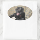 Black Lab-Sticker Ovale Sticker (Tas)