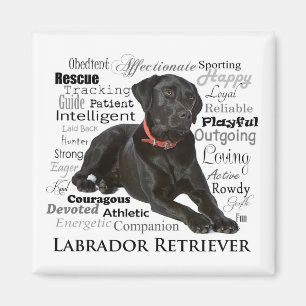Black Lab Traits Magnet