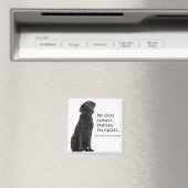 Black Lab v. Vrouw Magneet (Insitu (Vaatwasser))