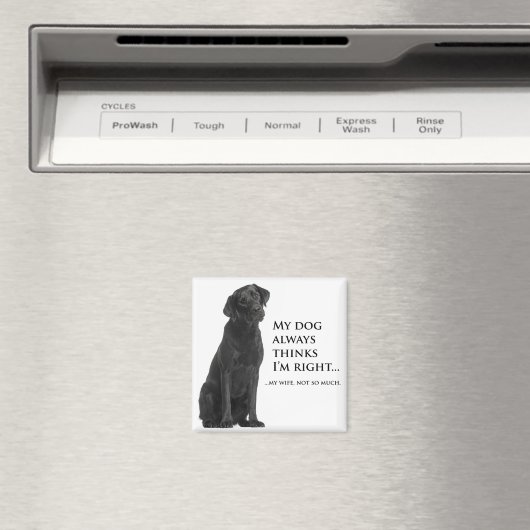 Black Lab v. Vrouw Magneet (Insitu (Vaatwasser))