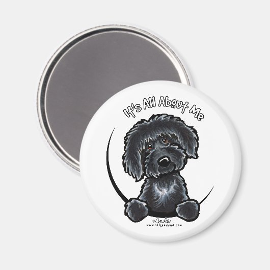Black Labradodle IAAM Magneet (Voorkant / Achterkant)