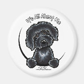 Black Labradodle IAAM Magneet (Voorkant)