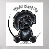 Black Labradodle IAAM Poster (Voorkant)